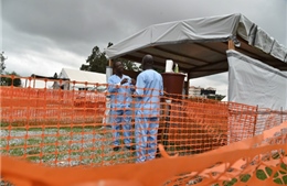Bác sĩ Italy nhiễm Ebola tại Tây Phi 